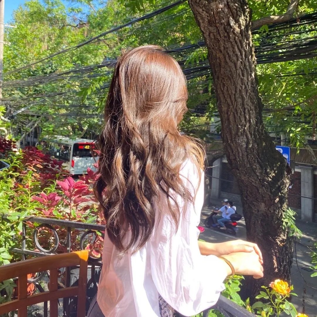 绿萝花